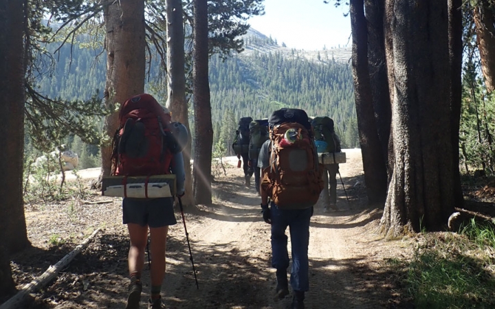 a group of backpacking students follow a trail among large trees on an outward bound trip for bipoc